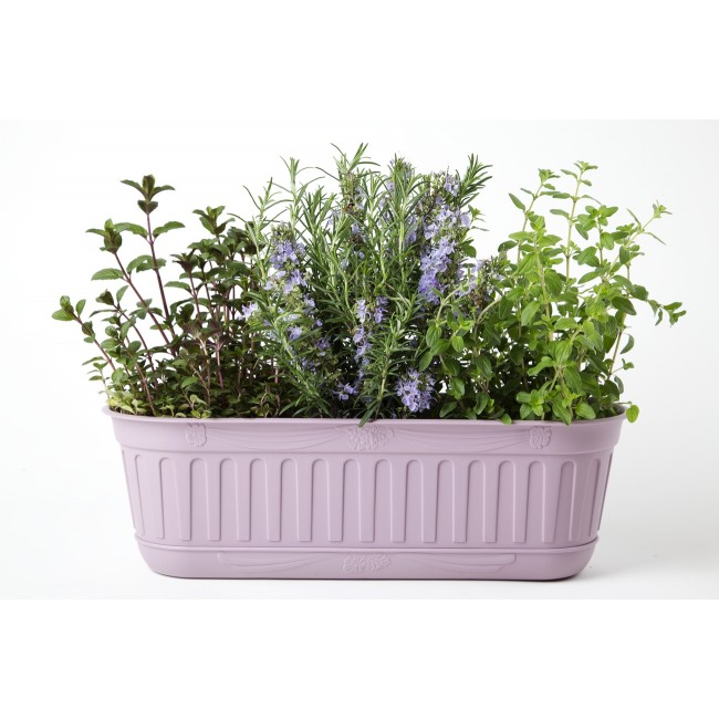 truhlík Lavanda na parapet