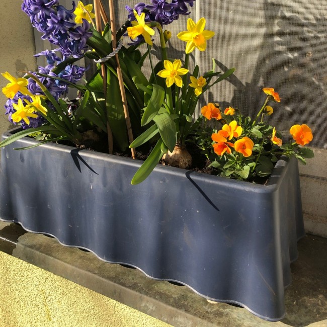 Samozavlažovací truhlík Brezza, 50 cm